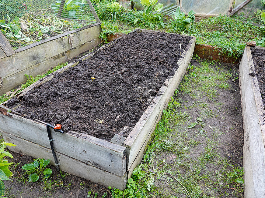 Ja komposts labi satrūdējis, ir tumšs, drupans un ar patīkamu zemes smaržu, to var izmantot kā vērtīgu pamatu augstajai dobei. 