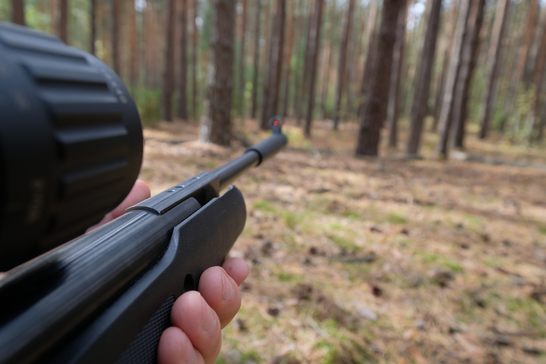 Valsts policija sākusi kriminālprocesu un administratīvā pārkāpuma procesus par gadījumiem Rīgā, kad Rītabuļļos un Imantā tika šauts cilvēkiem. Izvirzīta versija, ka šauts ar pneimatisko ieroci, taču vēl tiek skaidrots ekspertīzē.