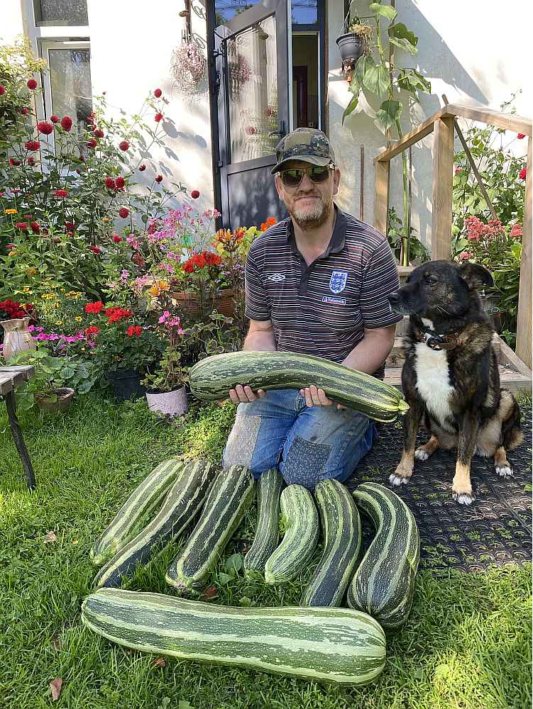Kabaci ņemsi? Dikinsoni ar izaudzēto nebrauc uz tirdziņiem vai veikaliem, viņiem patīk dāvināt draugiem vai varbūt iemainīt pret kaut ko citu, ja ir pārpalikumi.