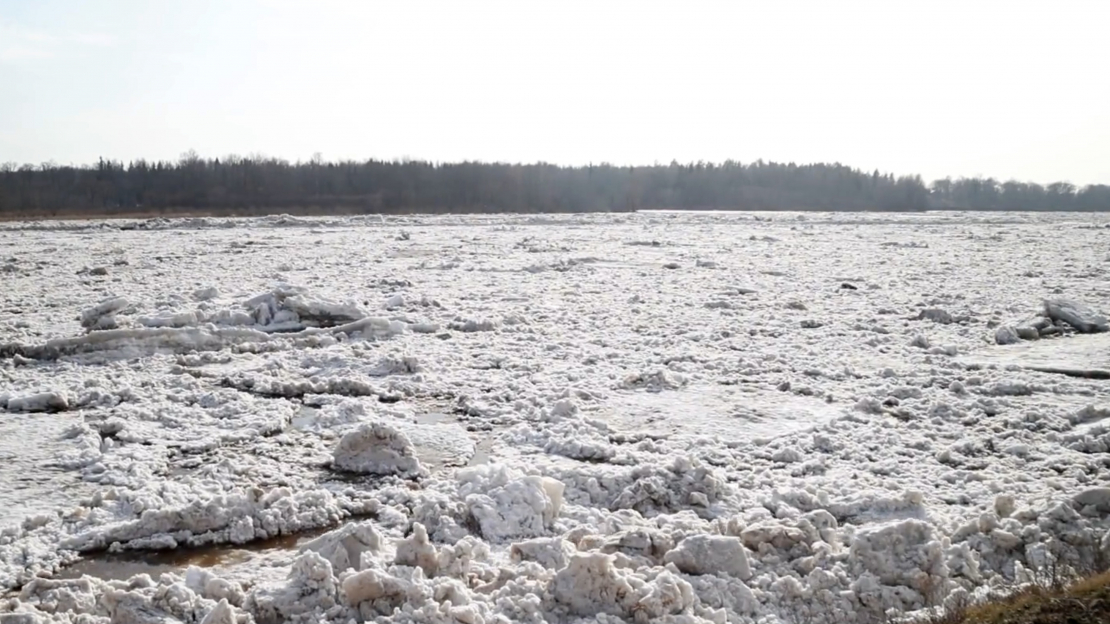 Daugavā ledus sakustējies.