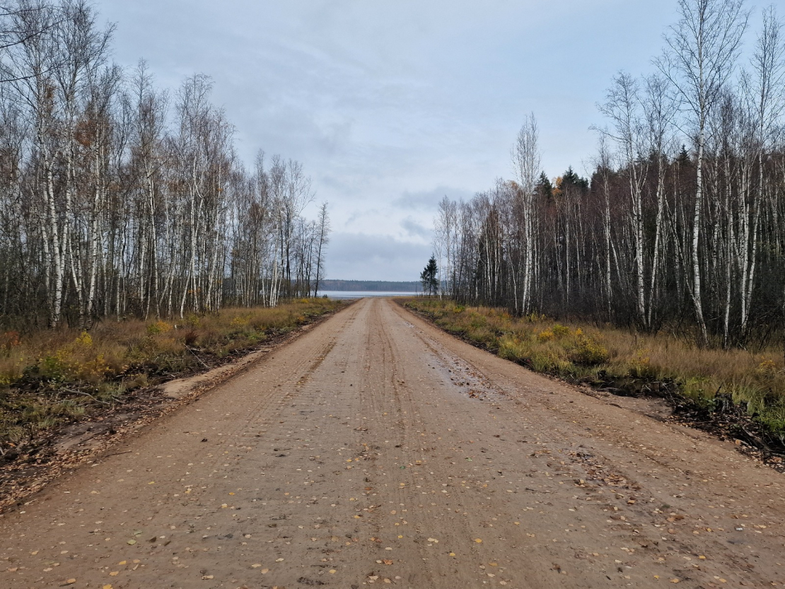 Rokādes ceļš Baltkrievijas pierobežā.