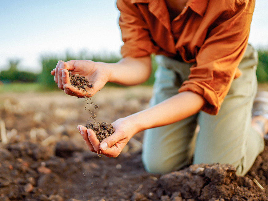Paraugus var ņemt visu gadu neatkarīgi no laika apstākļiem gan vēlā rudenī, gan lietus laikā.