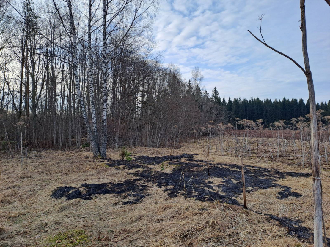 Sekas pēc drona nogāšanās Krāslavas novadā.