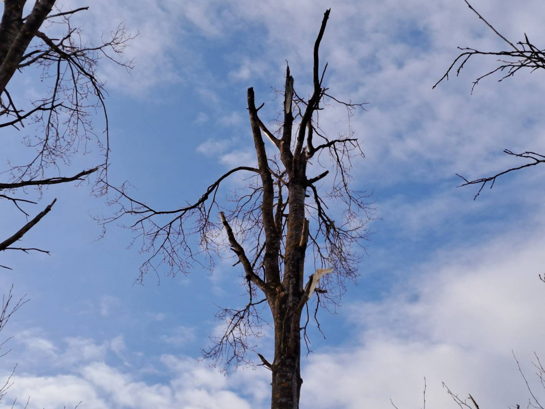 Sekas pēc drona nogāšanās Krāslavas novadā.