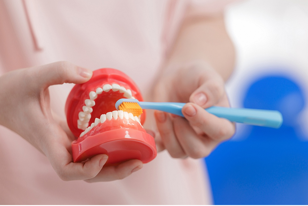 Zobu higiēnists labprāt ierādīs pareizu zobu tīrīšanas un diegošanas tehniku.