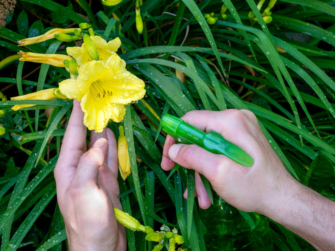 Profesionālā lauksaimniecībā AAL lietošana balstās uz nepieciešamību, novērojumu datiem un īsto laiku.