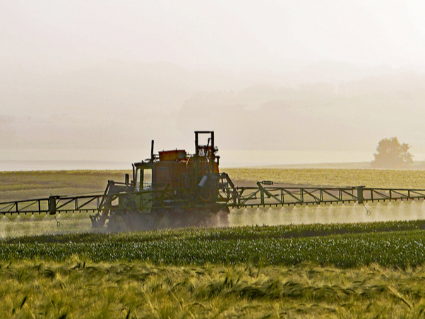 Lauku mēslošana pavasarī.