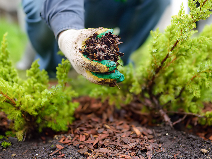 Ilustratīvs attēls.