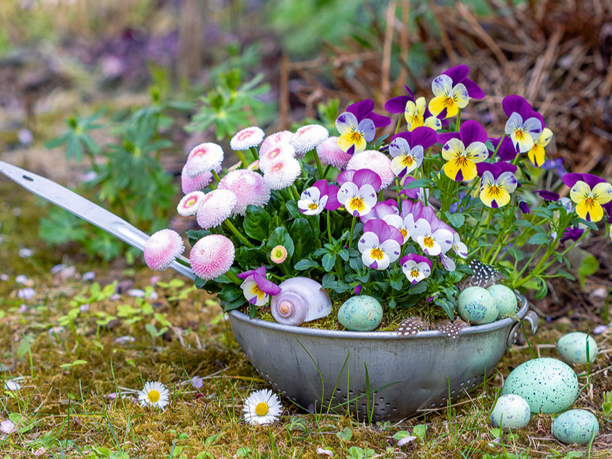 Savu laiku nokalpojušais caurduris ticis pie skaistas rotas.