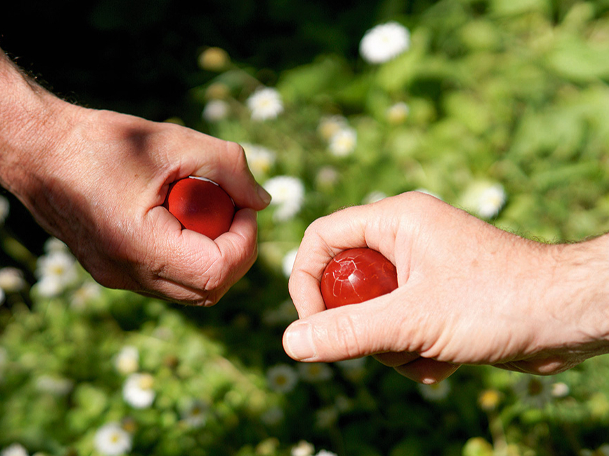 Lai uzvarētu olu kaujās, jāņem mazāka ola – ar nosacījumu, ka tā pareizi izvārīta.
