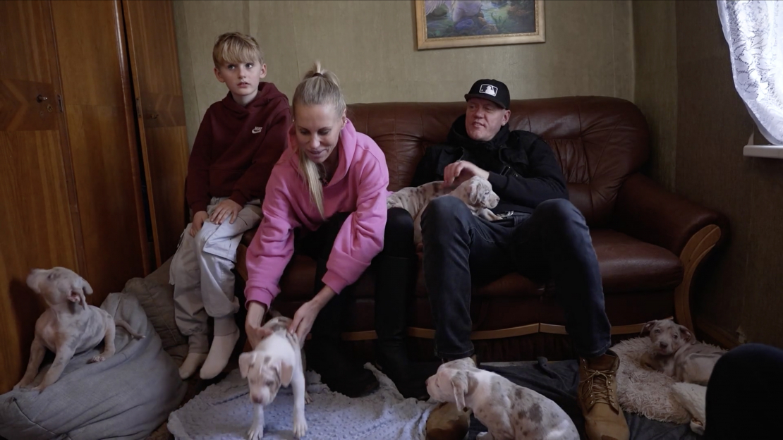 Kambalu pāris pie kucēniem.