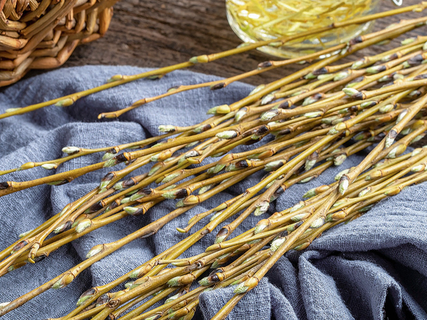 Vītolus jau izsenis lieto ārstniecībai, visplašāk – baltā vītola mizu.