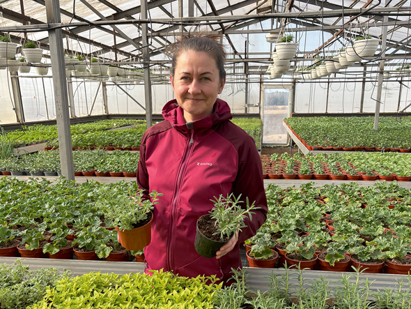 ZS "Zutiņi" saimniece Santa Meļķe: "Jau marta pēdējās dienās klientiem izsūtījām garšaugus Lieldienu mielastam – timiāns, raudene, rozmarīns un vēl citi garšaugi vienlaikus būs gan galda dekors, gan baudāmi produkti."