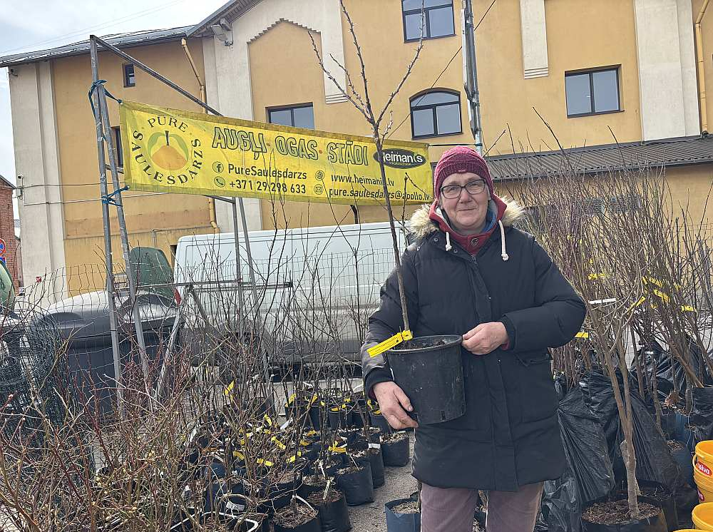 "Cilvēki pieprasa aizvien vairāk ērtību ražas vākšanā un selekcionāri izpilda pasūtījumu," teic stādaudzētavas "Saulesdārzs Pūre" saimniece Melita Dimza. "Mūsu sortimentā šopavasar ir divas augststumbra ērkšķogu šķirnes – 'Invikta' un 'Hinnonmaki red'."