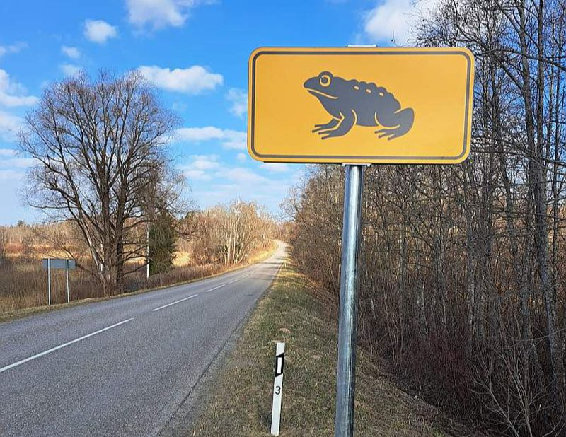 Ar speciālām ceļa zīmēm autovadītājus brīdina par krupju migrācijas ceļiem.