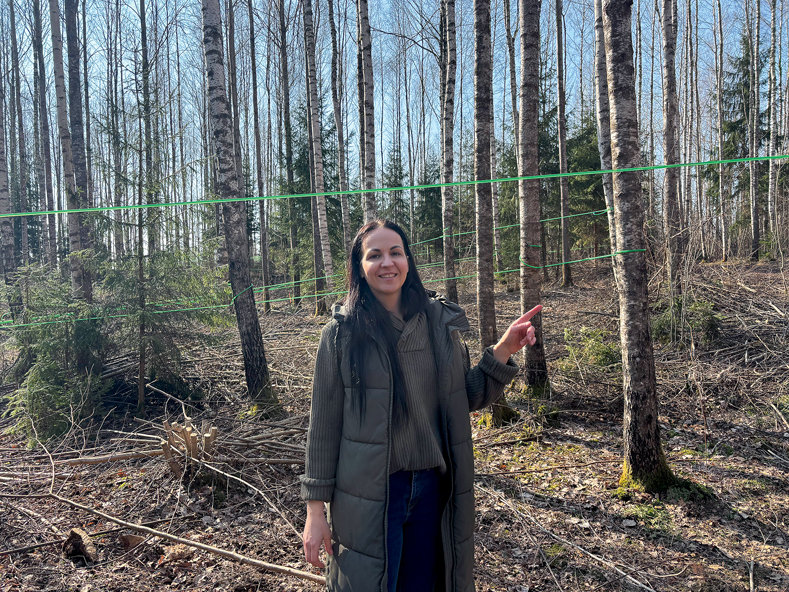 "Kainaižu" saimniece Līvija Letīcija Labanovska uzsver bērza sulas vākšanas industrializācijas priekšrocības – tikpat kā nav fiziskā darba, un sulai visu laiku jāatrodas slēgtā vidē.