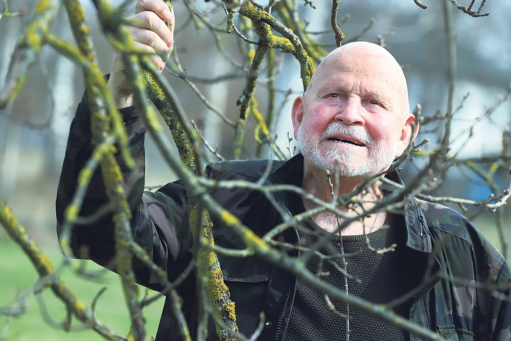 "Vēroju, kā aizlido putni, pamazām krīt lapas un vēlāk pamazām koki atkal sāk zaļot. Latvijas koki ir cīnītāji," teicis komponists Pēteris Vasks.