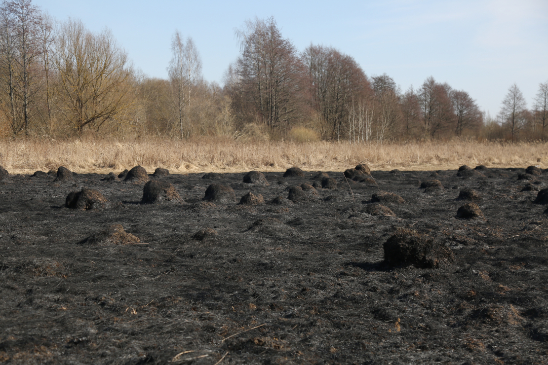 Kūlas ugunsgrēka sekas. Ilustratīvs attēls.