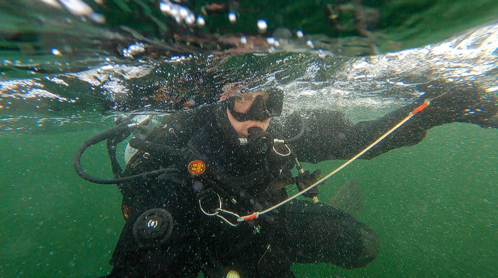 Militārie ūdenslīdēji ir sagatavoti pildīt bīstamus uzdevumus gan ikdienā, gan arī NATO mācībās un starptautiskajās misijās, gan iznīcināt vēsturiskus vai mūsdienu sprādzienbīstamus priekšmetus.