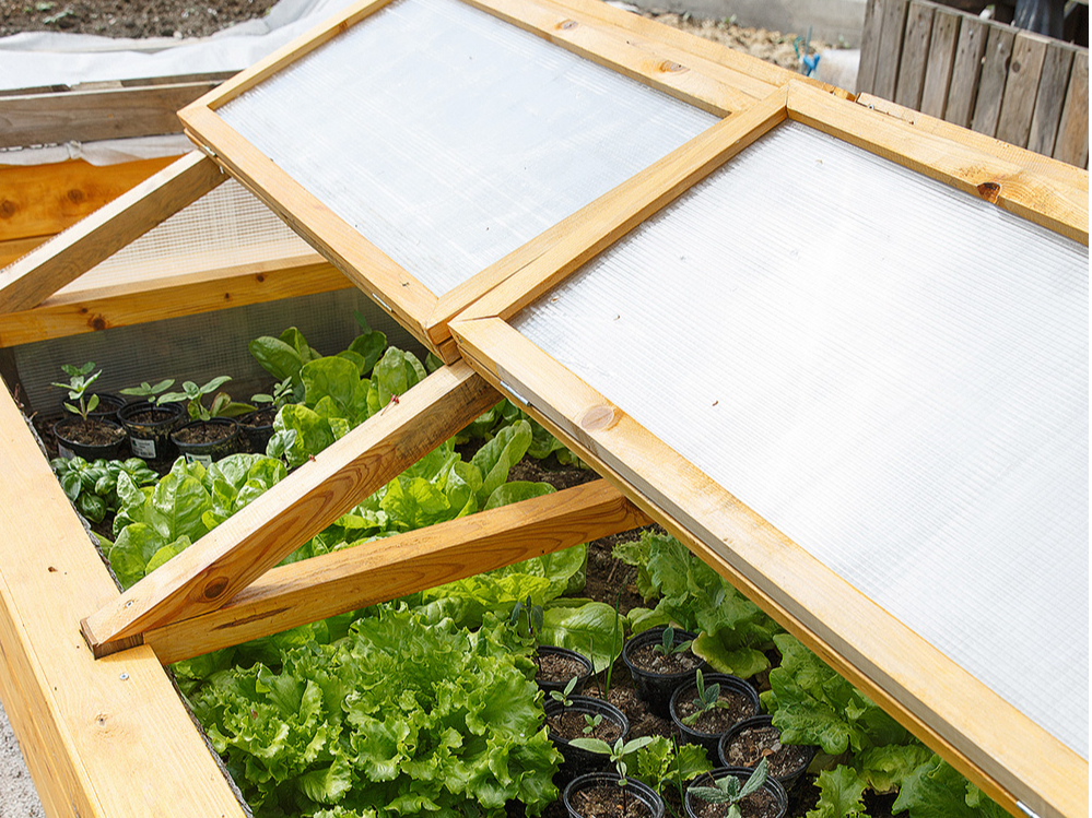 Lecekts ar paceļamu polikarbonāta vāku.