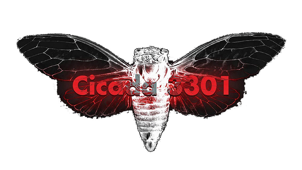 “Cicada 3301” ir mīklu komplekti, kas tika publicēti tiešsaistē, sākot no 2012. gada.