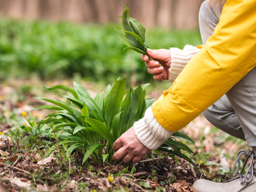 Ilustratīvs attēls.