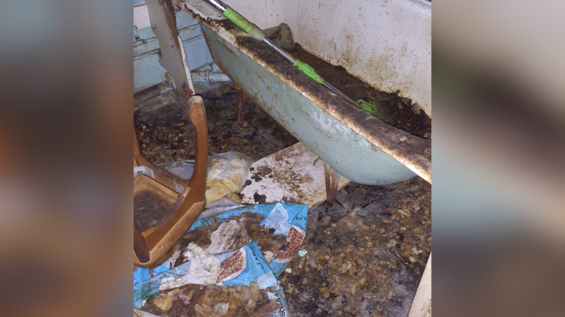 Dzīvoklī Imantā konstatēta spēcīga dzīvnieku urīna un izkārnījumu smaka, kā arī novārguši un miruši mājdzīvnieki.