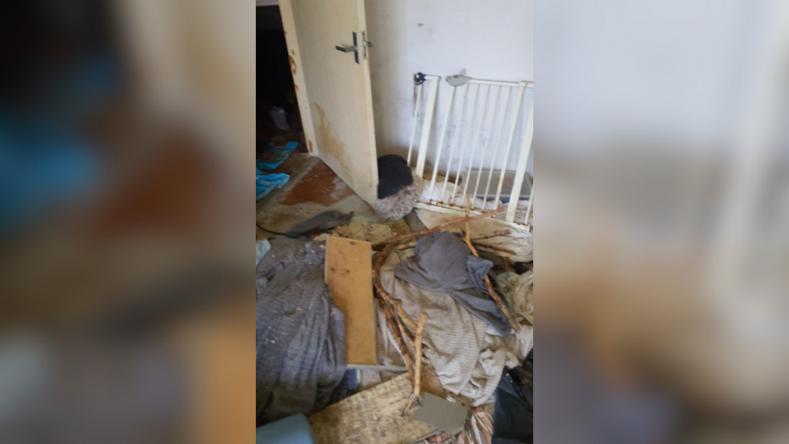 Dzīvoklī Imantā konstatēta spēcīga dzīvnieku urīna un izkārnījumu smaka, kā arī novārguši un miruši mājdzīvnieki.