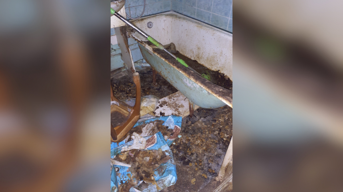 Dzīvoklī Imantā konstatēta spēcīga dzīvnieku urīna un izkārnījumu smaka, kā arī novārguši un miruši mājdzīvnieki.