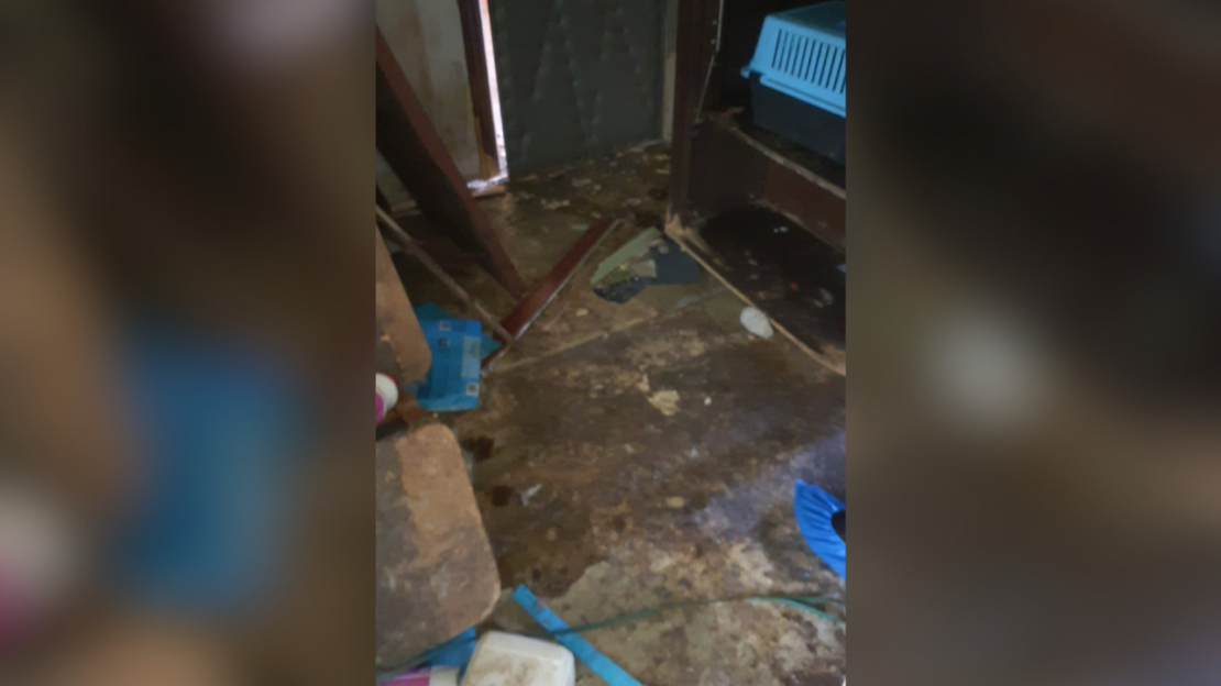 Dzīvoklī Imantā konstatēta spēcīga dzīvnieku urīna un izkārnījumu smaka, kā arī novārguši un miruši mājdzīvnieki.