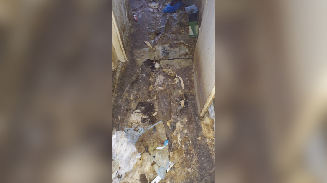 Dzīvoklī Imantā konstatēta spēcīga dzīvnieku urīna un izkārnījumu smaka, kā arī novārguši un miruši mājdzīvnieki.