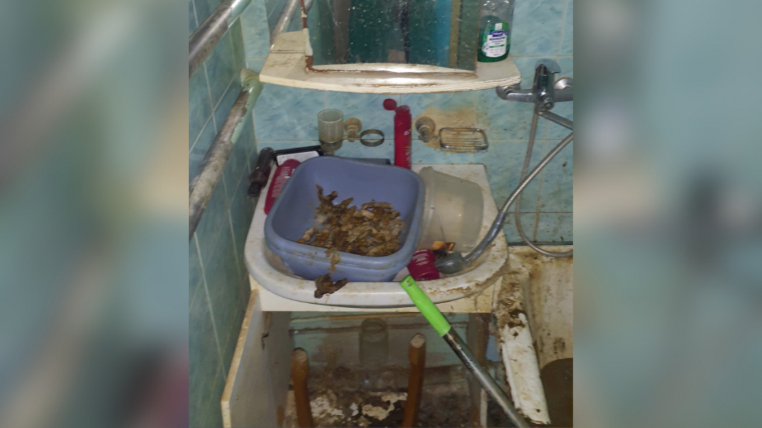 Dzīvoklī Imantā konstatēta spēcīga dzīvnieku urīna un izkārnījumu smaka, kā arī novārguši un miruši mājdzīvnieki.