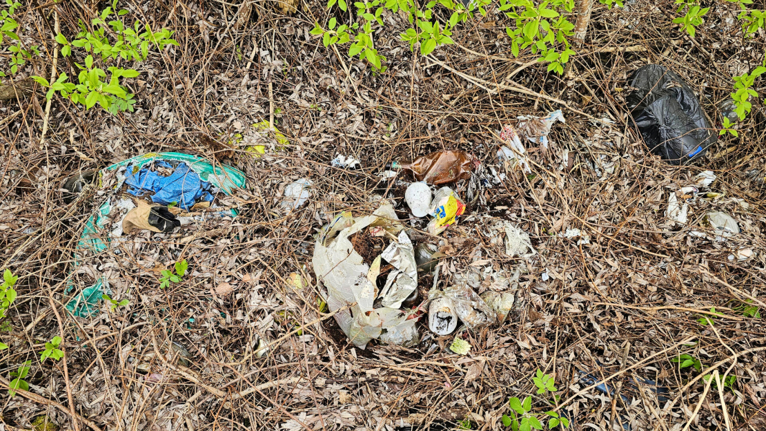 Lielās talkas norise Rīgā.