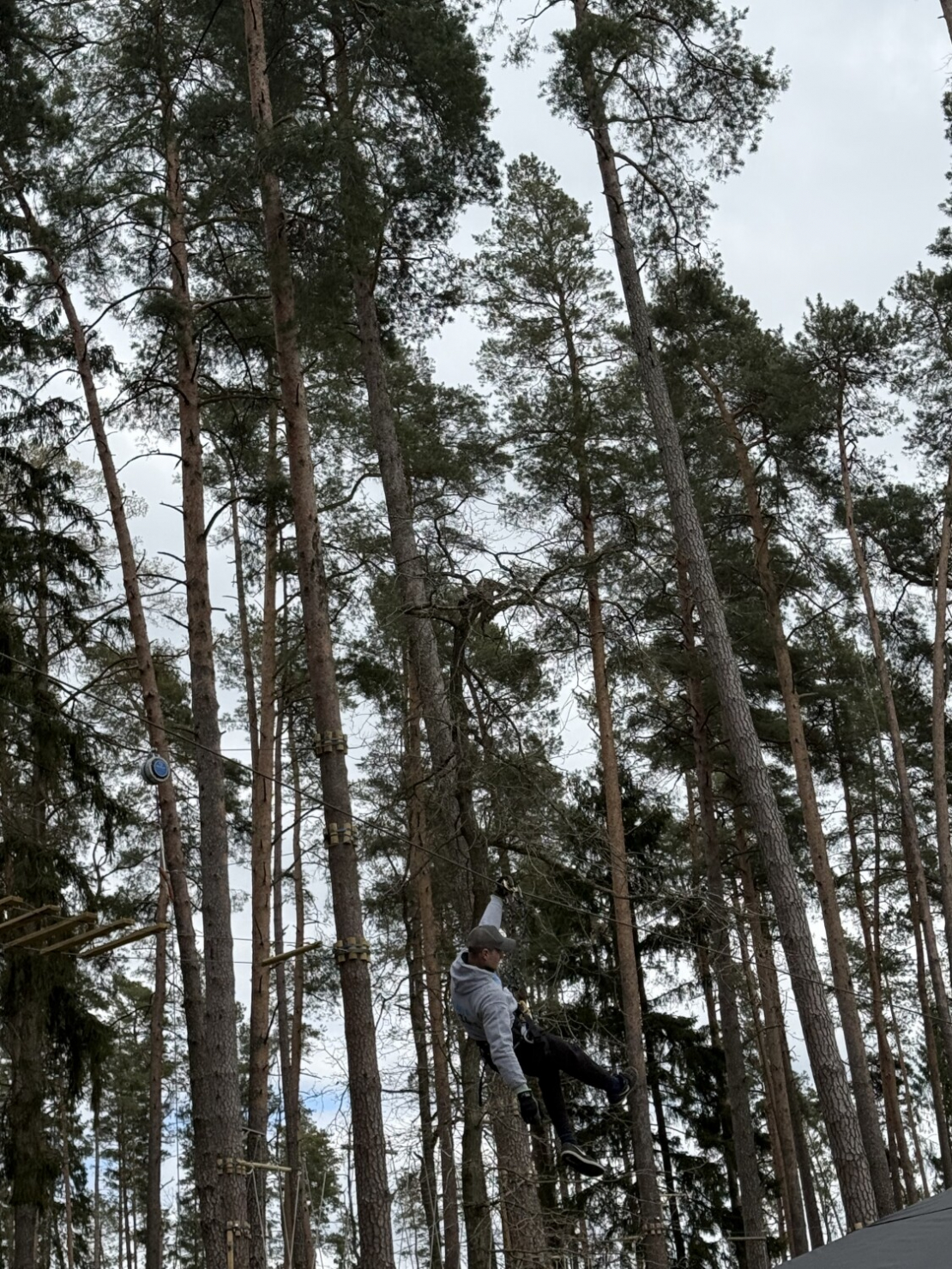 Atjaunotās atpūtas vietas "Tērvetes tīklu parks" un šķēršļu parks "Tarzāns".