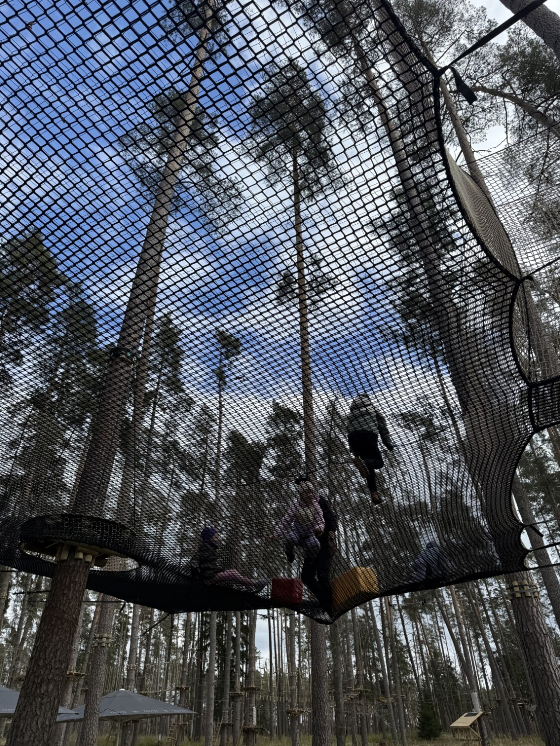 Atjaunotās atpūtas vietas "Tērvetes tīklu parks" un šķēršļu parks "Tarzāns".