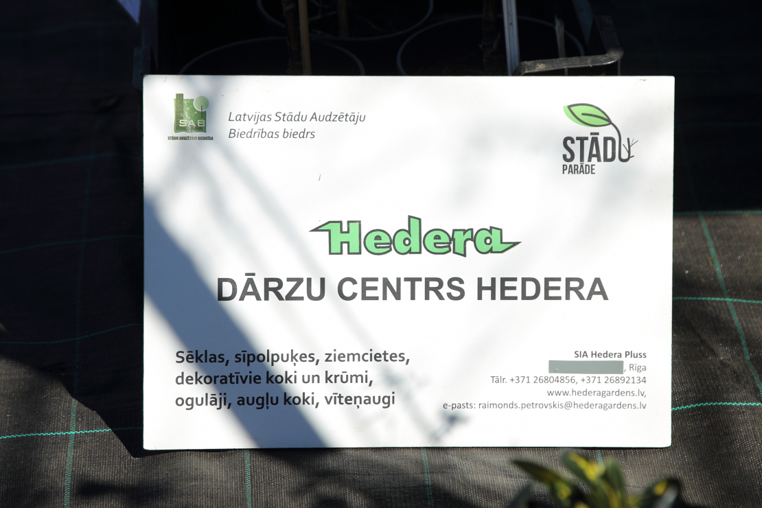 Stādu parāde Siguldā.