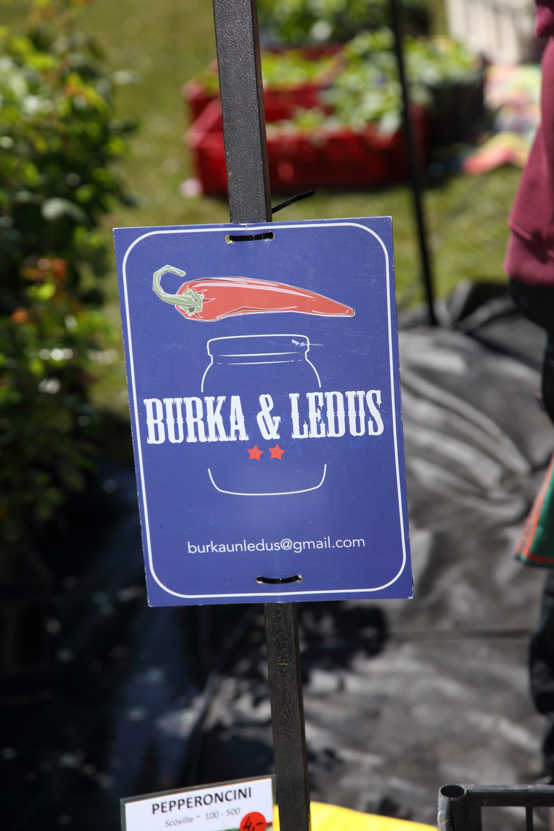 Stādu parāde Siguldā.