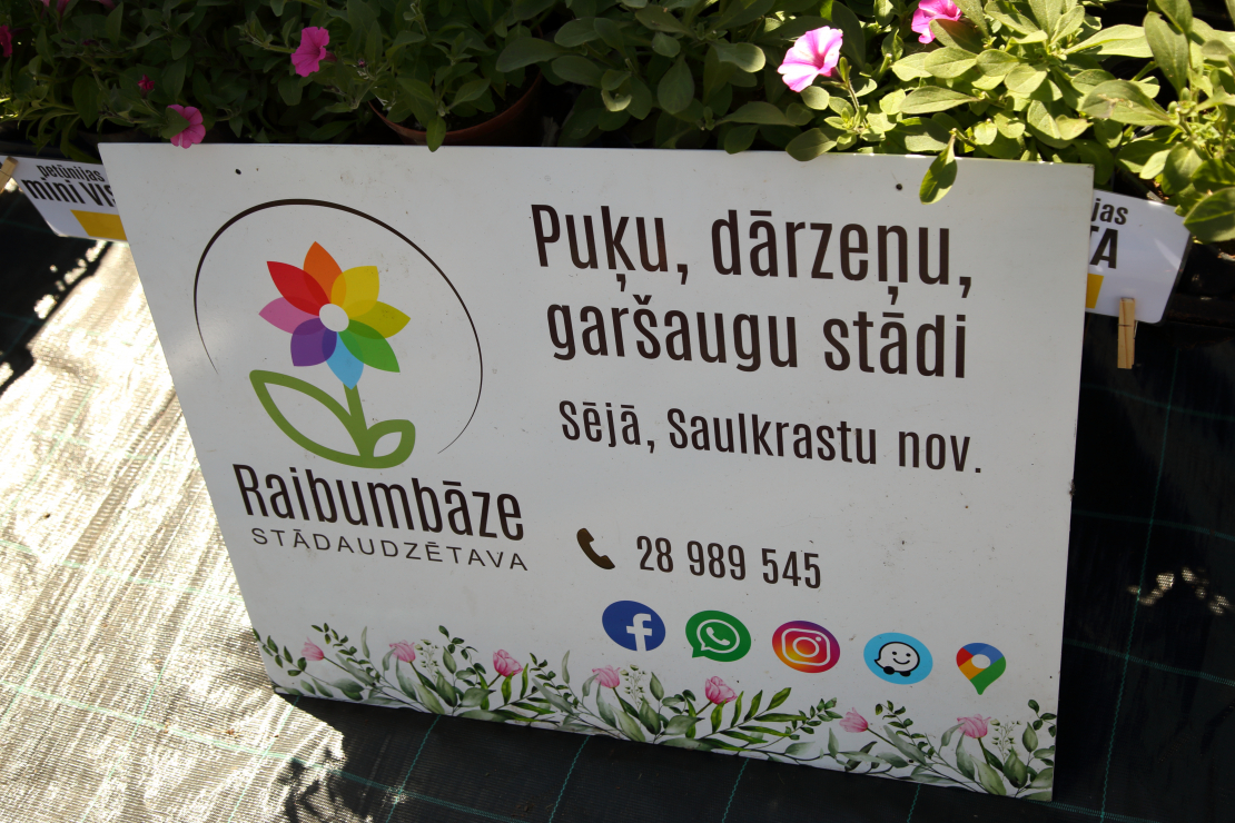 Stādu parāde Siguldā.