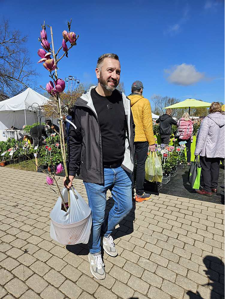 Artūrs uz Siguldu mēroja ceļu no Rēzeknes. Esot gan Stādu parādē caurbraucot, lai mājas mauriņu rotātu ar magnoliju.