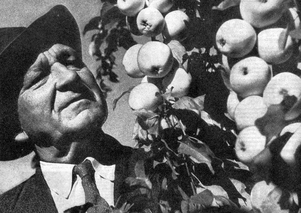 Pēteris Upītis (1896–1976).