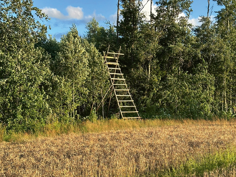 Mednieku taisītā trepe – pielāgota konkrētiem apstākļiem.