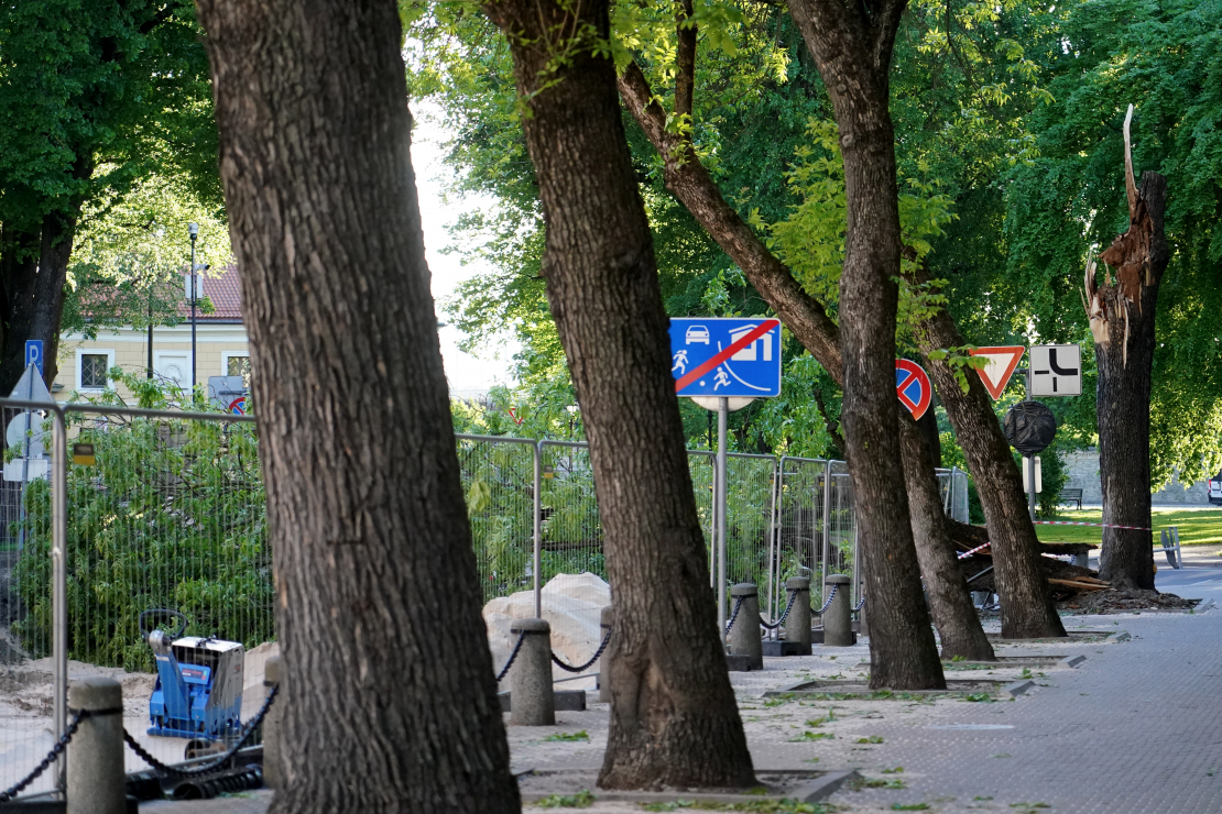 Stiprā vēja dēļ pie Latvijas Bankas ēkas nogāzies koks. 