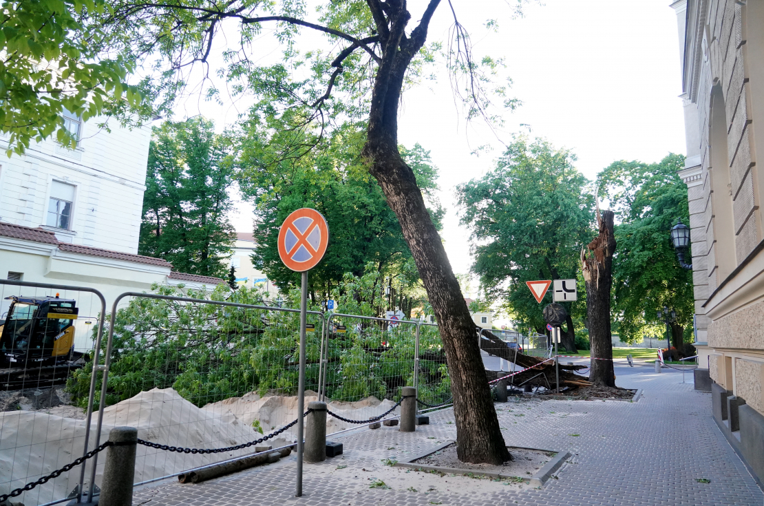 Stiprā vēja dēļ pie Latvijas Bankas ēkas nogāzies koks. 