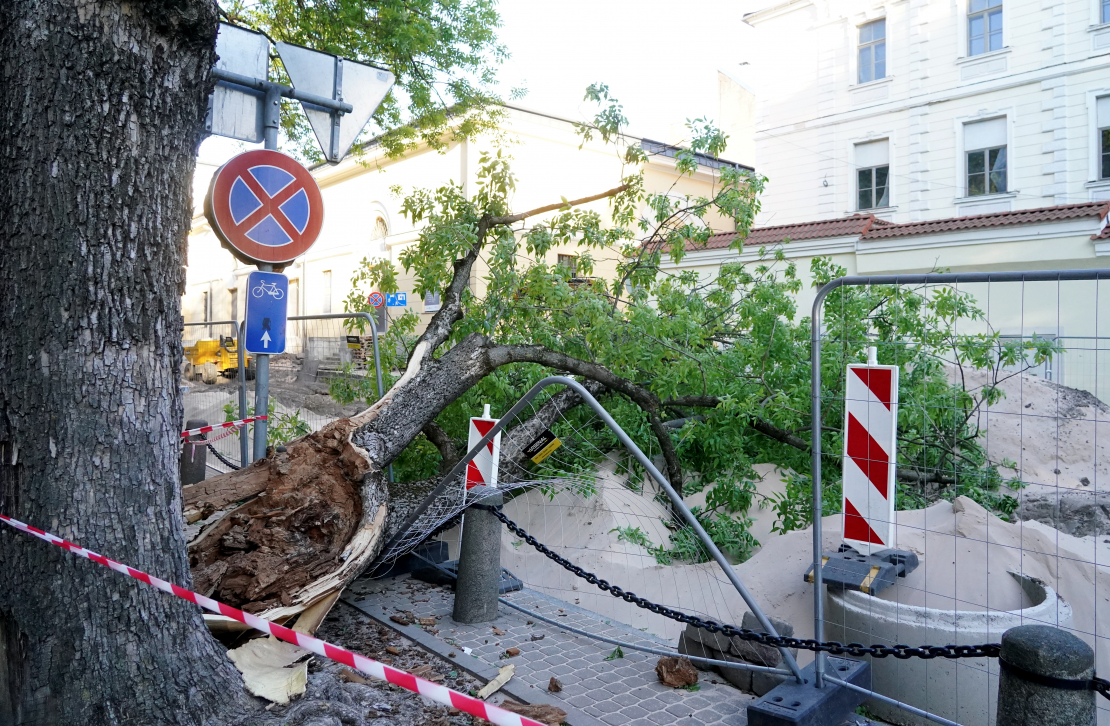 Stiprā vēja dēļ pie Latvijas Bankas ēkas nogāzies koks. 
