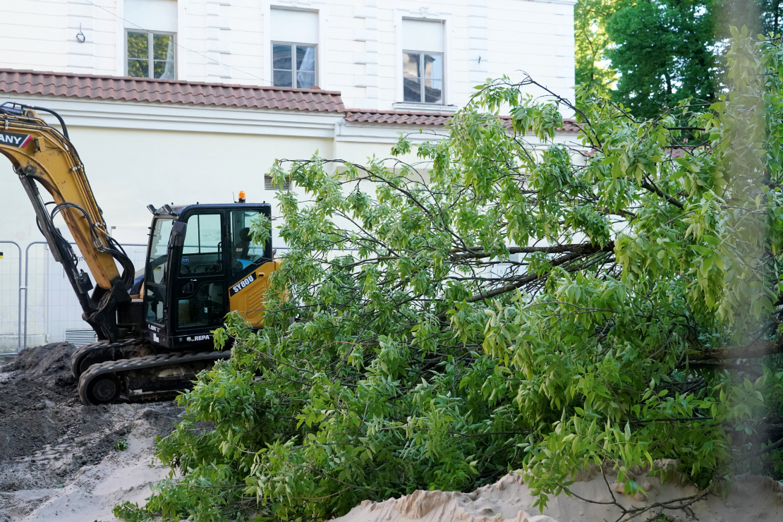 Stiprā vēja dēļ pie Latvijas Bankas ēkas nogāzies koks. 