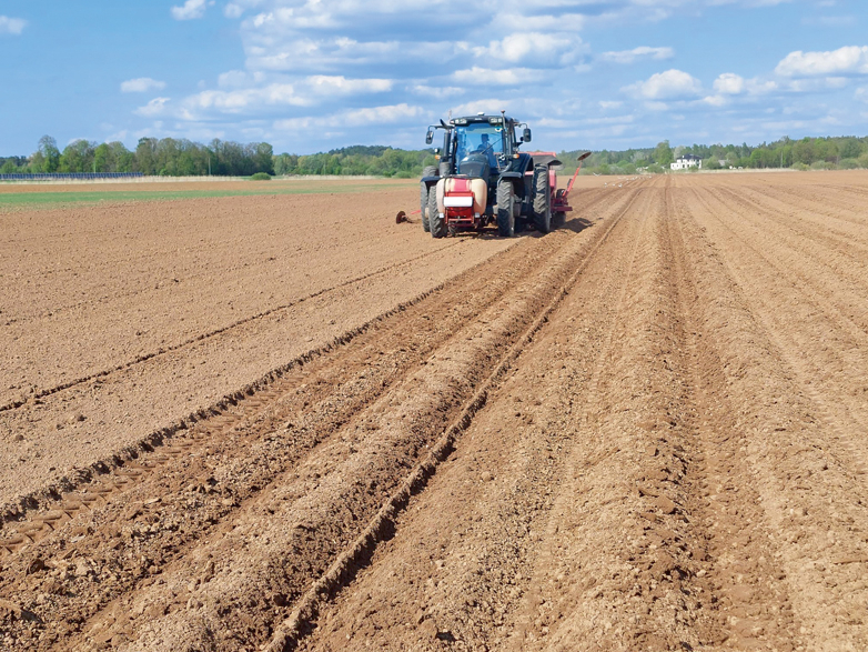 Čipsu kartupeļu stādīšana Pierīgā, SIA "Latfood Agro" apsaimniekotajos laukos Ādažos. Kartupeļu stādīšana notiek ar četrrindu stādītāju. Desmit dienās saimniecībā iestādīja kartupeļus 61 ha platībā.