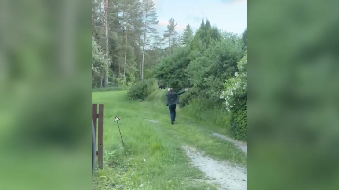 Cilvēks izkāpa no mašīnas un vēl skrēja ar telefonu lācim pakaļ... 