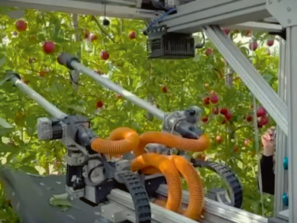 Divrocīgais robots.