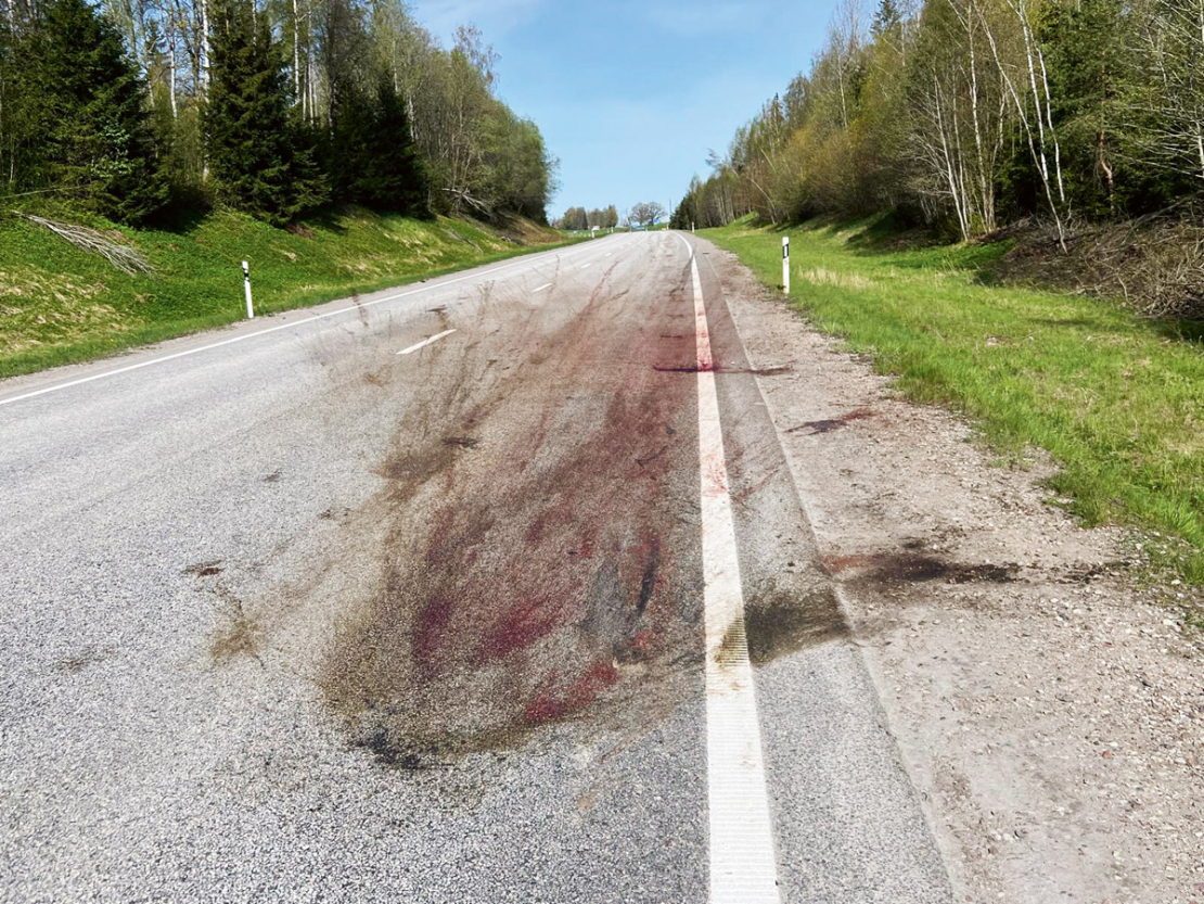 Katru gadu uz Eiropas ceļiem iet bojā simtiem tūkstošu savvaļas dzīvnieku.
