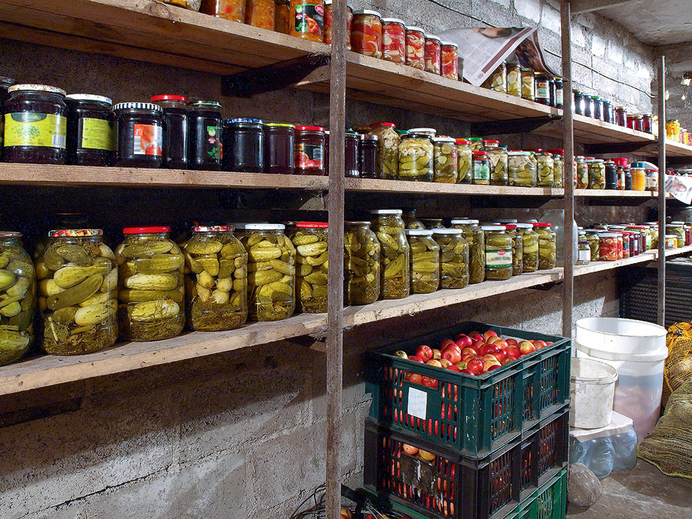 Pagrabā vienkopus tiek uzglabāts daudz dažādu produktu, līdz ar to ir labvēlīga vide, kur izplatīties dažādām slimībām